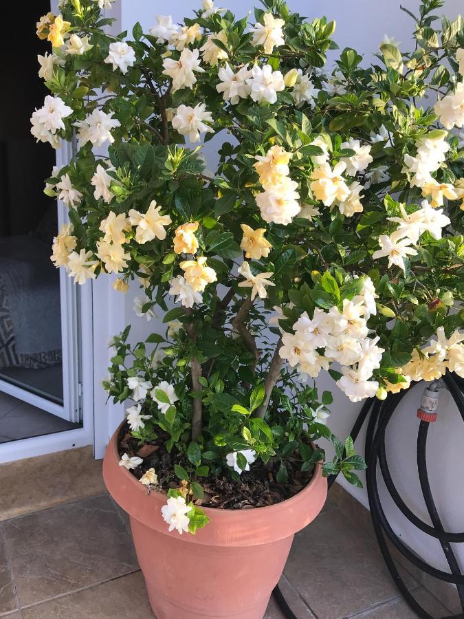 D & K Guest House Makrirrakhi ภายนอก รูปภาพ